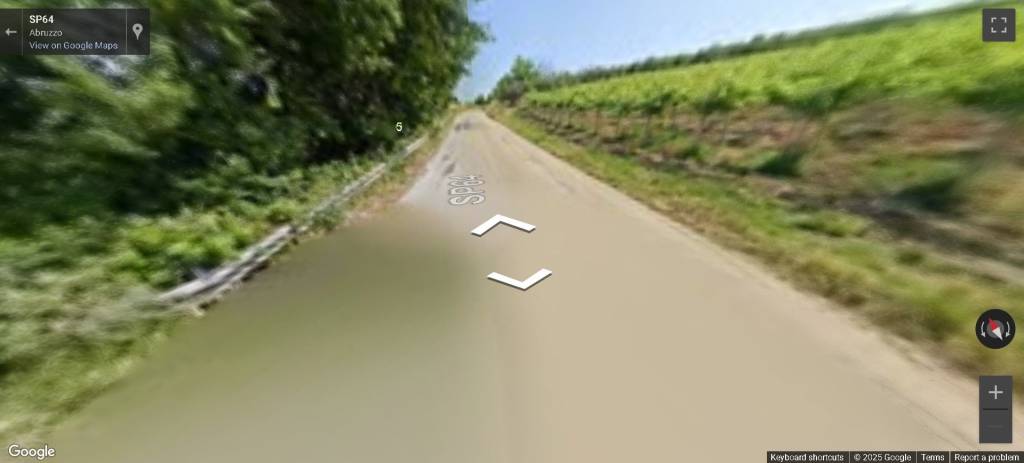 immagine annuncio 9 di 11