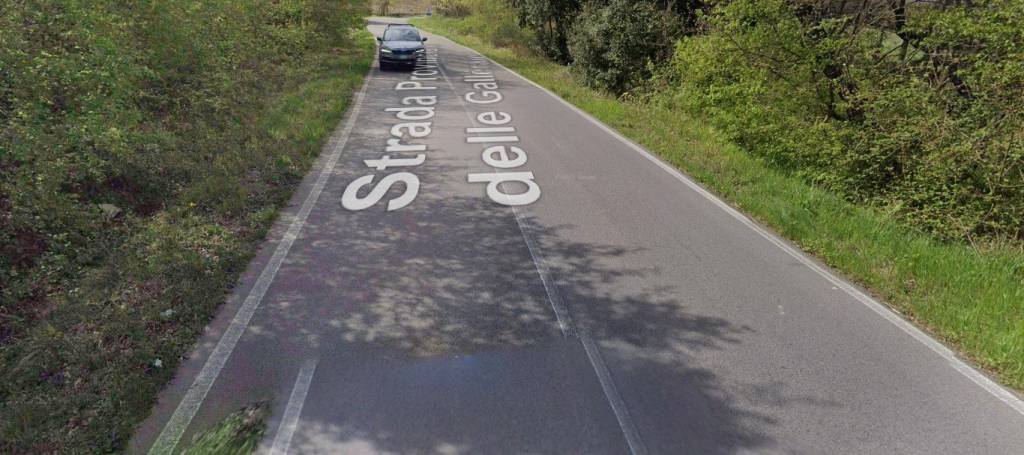 immagine annuncio 7 di 11