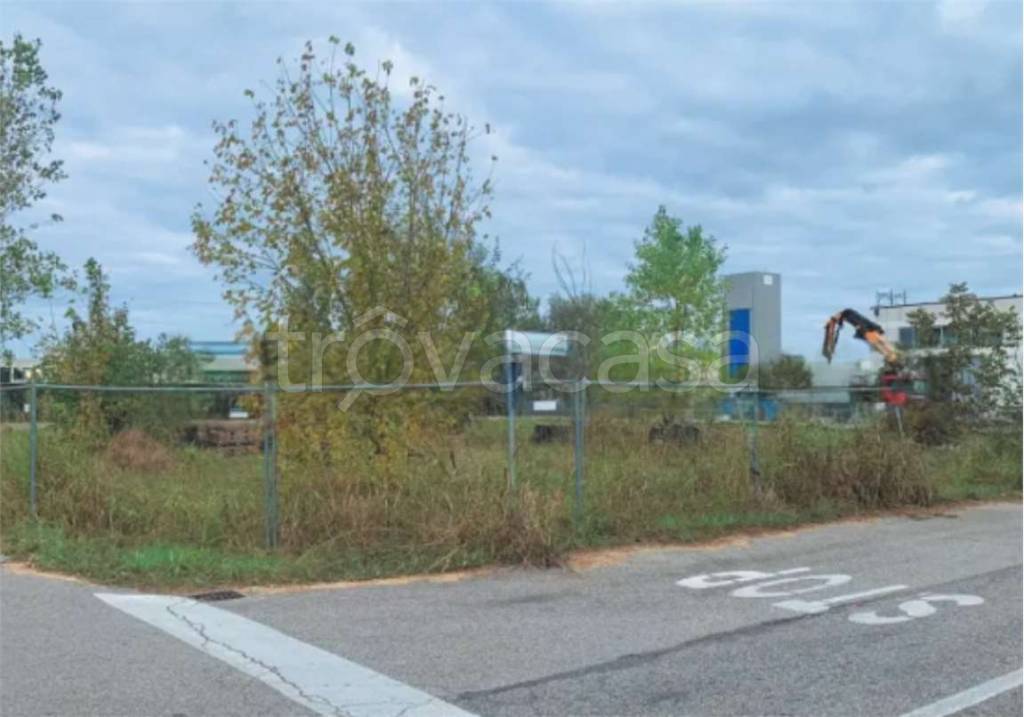 immagine annuncio 2 di 14