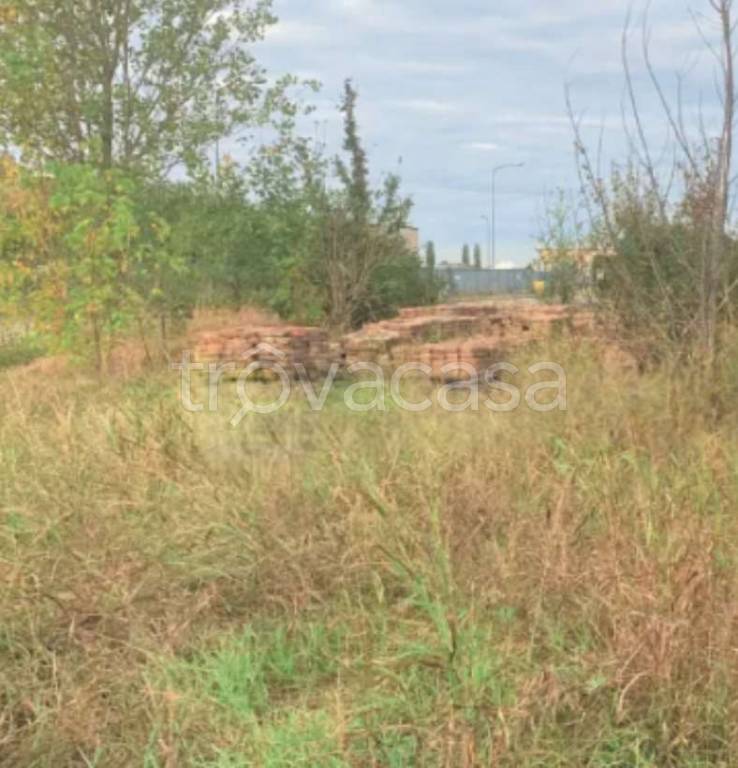 immagine annuncio 3 di 14