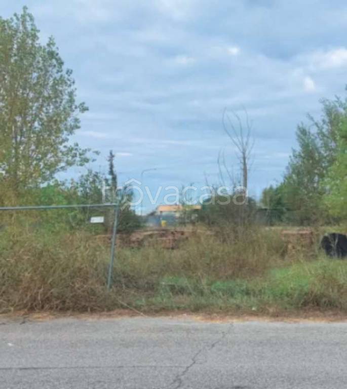 immagine annuncio 4 di 14