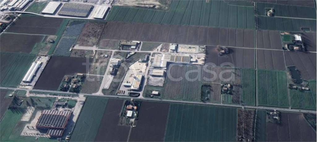 immagine annuncio 10 di 14