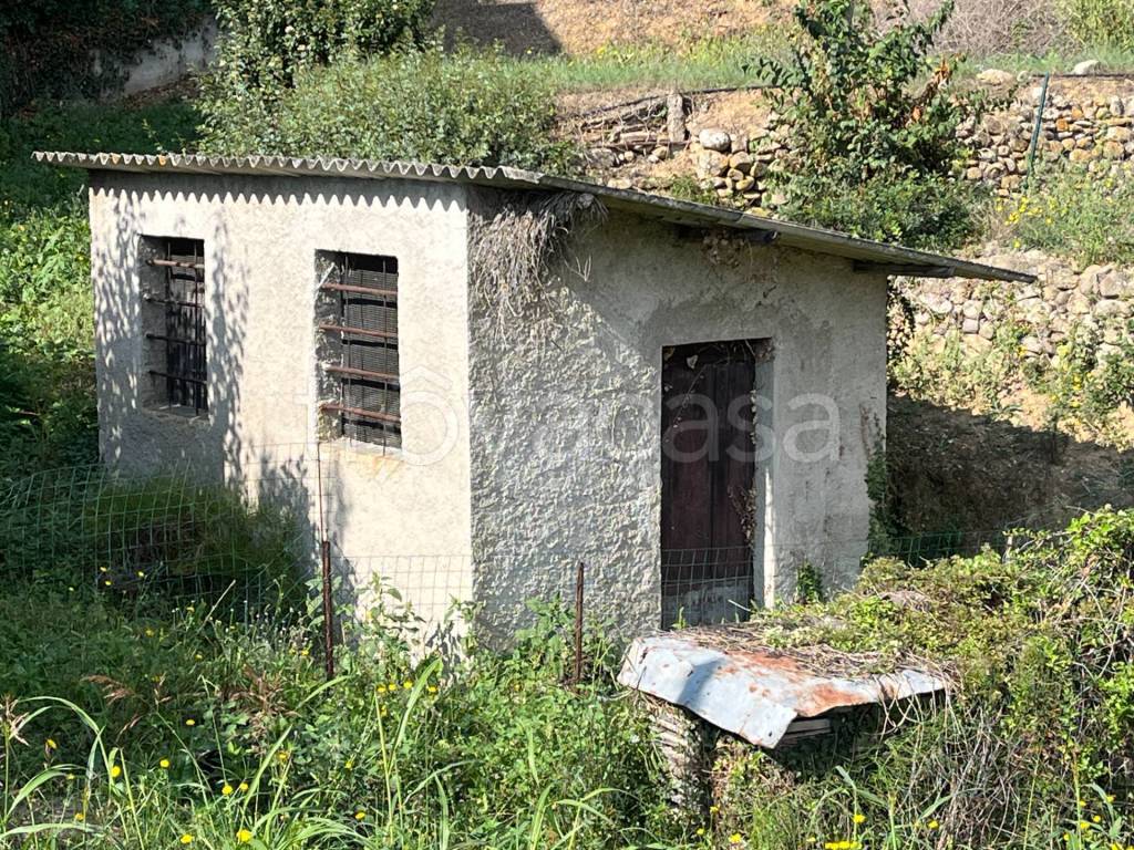 immagine annuncio 2 di 13