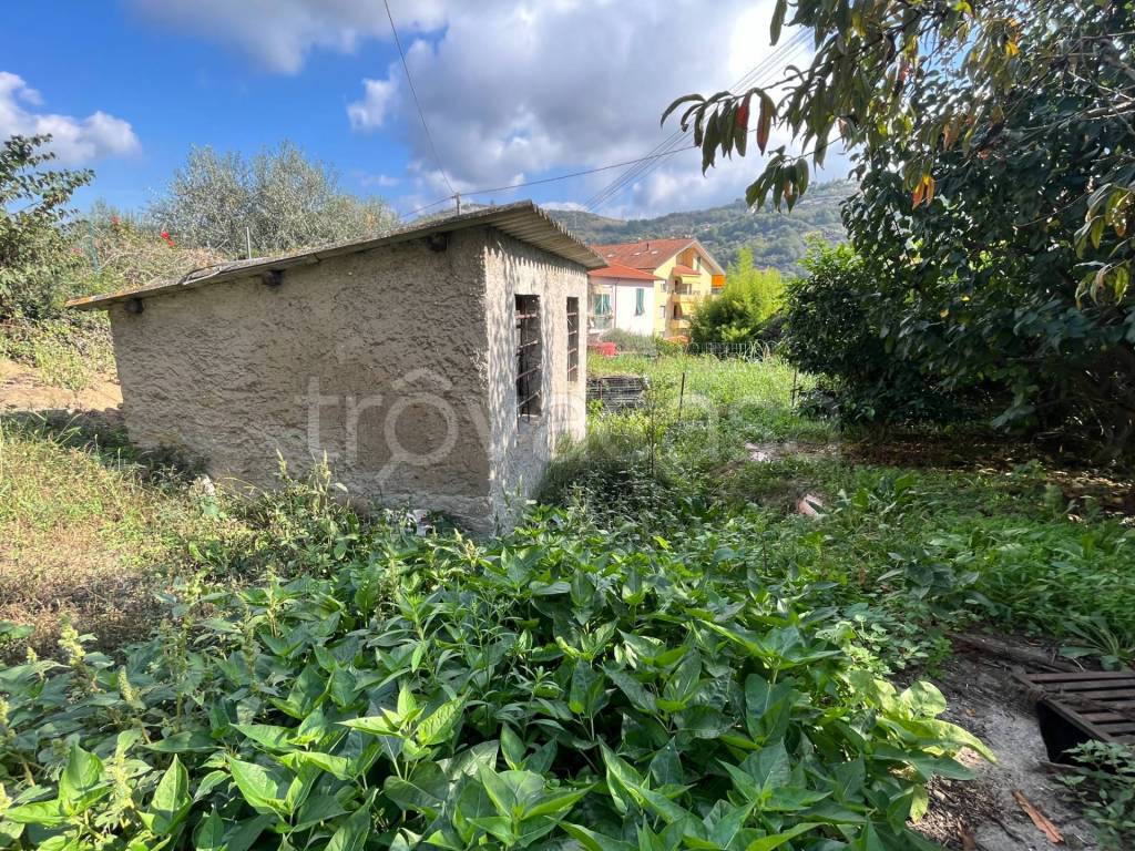 immagine annuncio 3 di 13