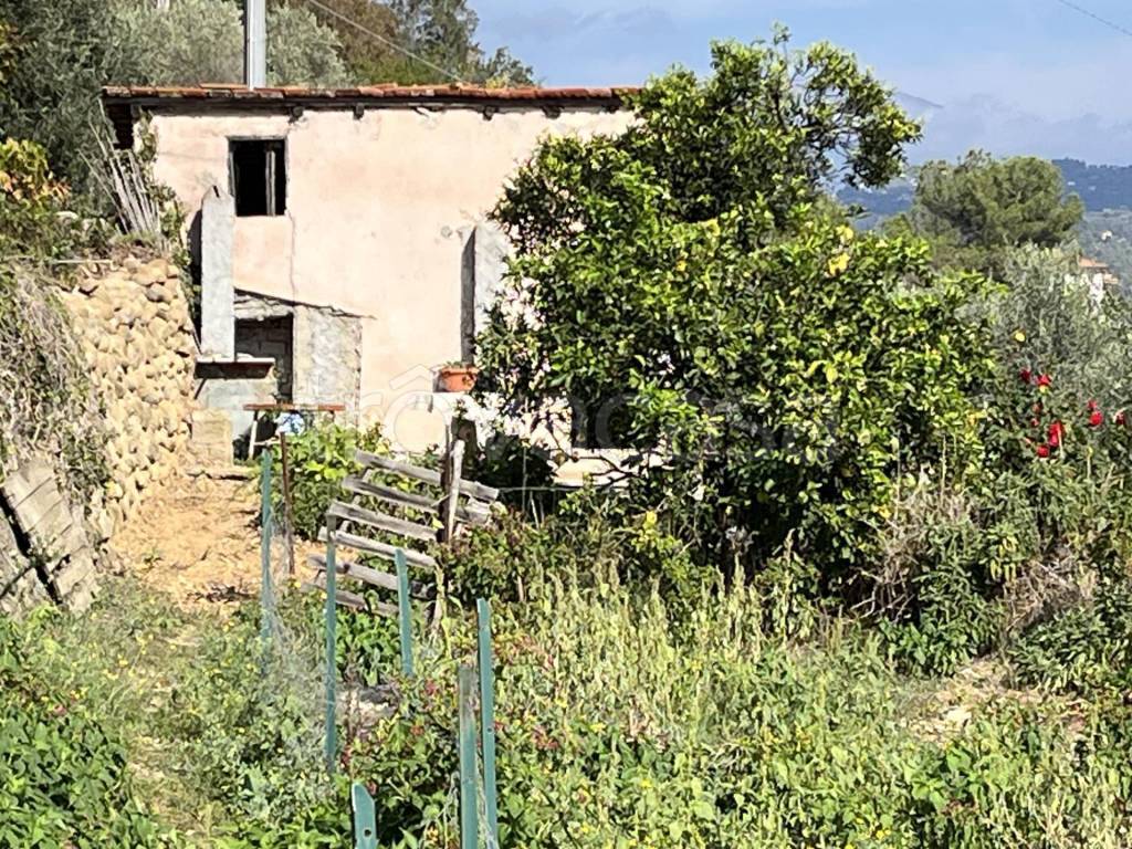 immagine annuncio 4 di 13