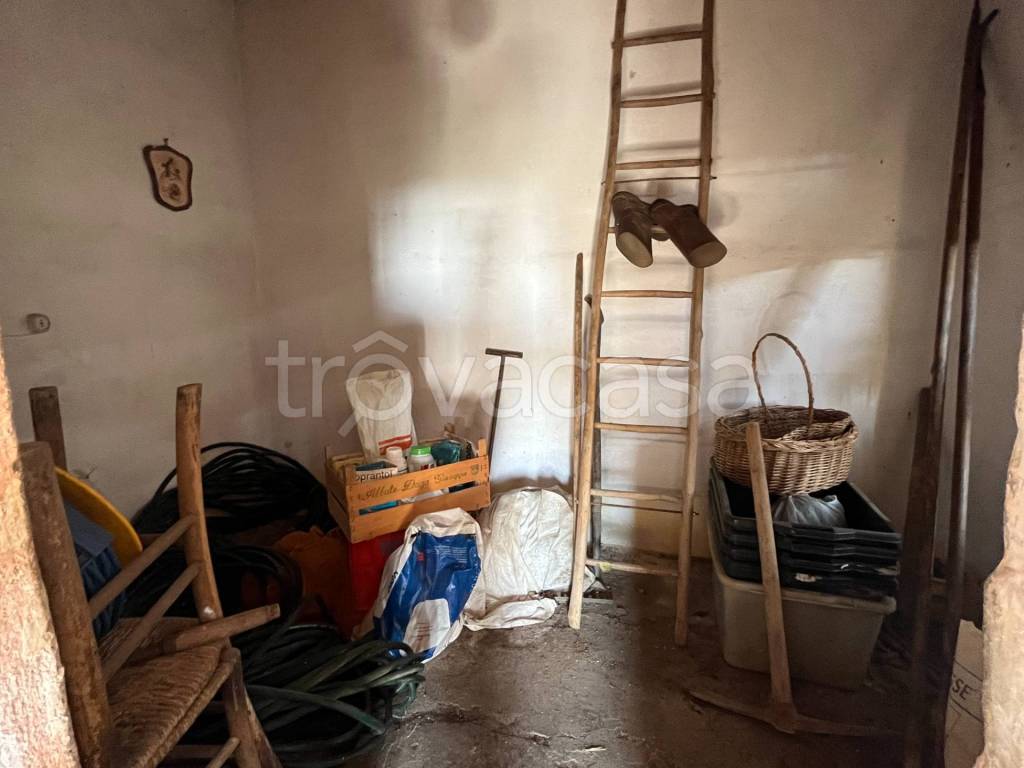 immagine annuncio 8 di 13