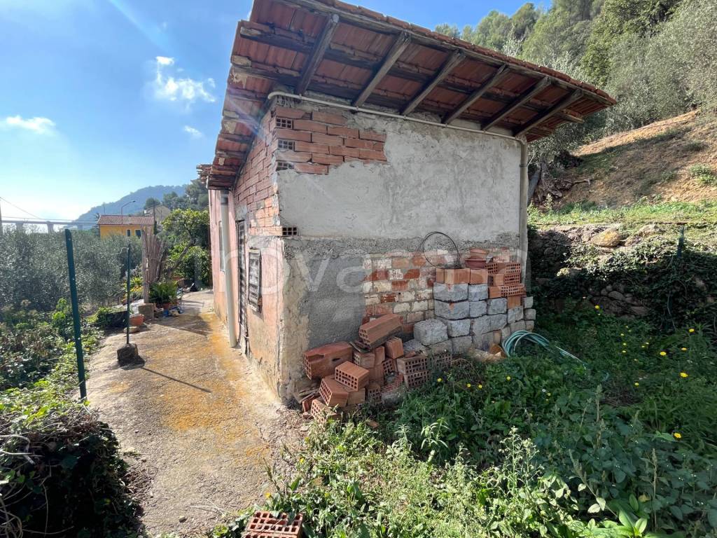 immagine annuncio 11 di 13