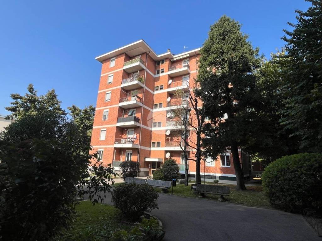 immagine annuncio 1 di 15