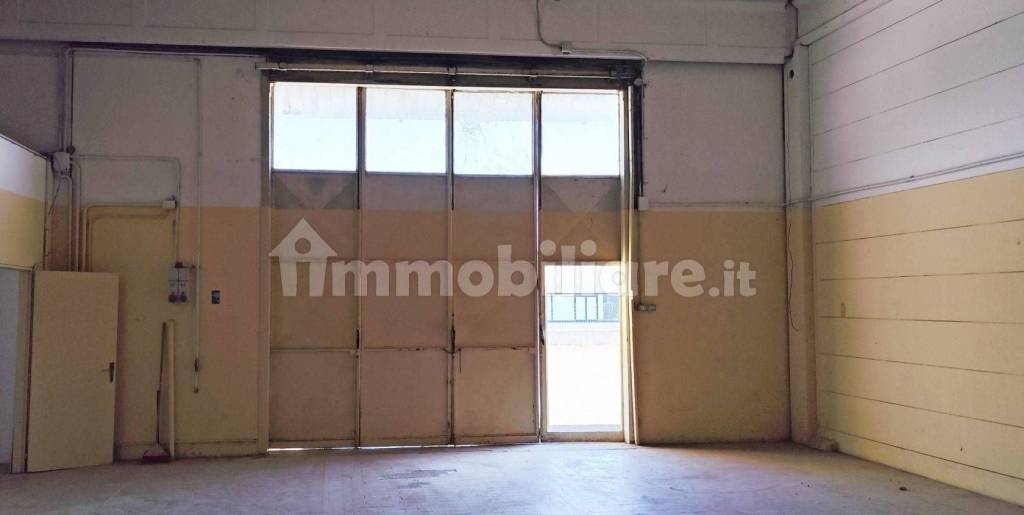 immagine annuncio 2 di 7