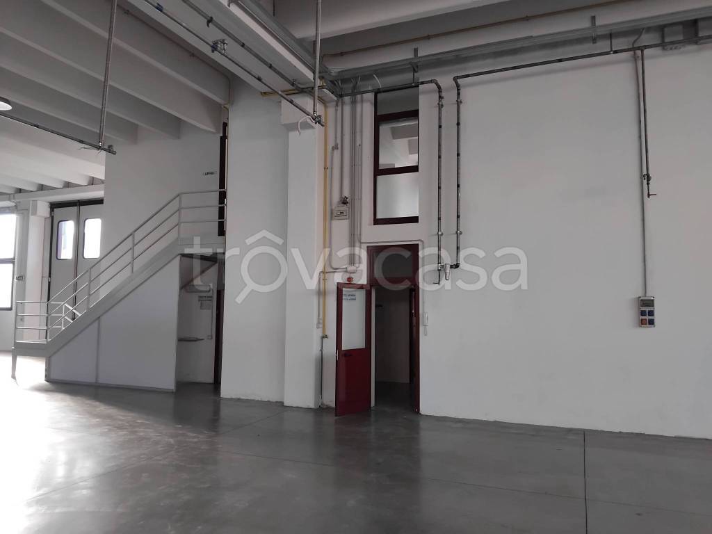 immagine annuncio 1 di 14