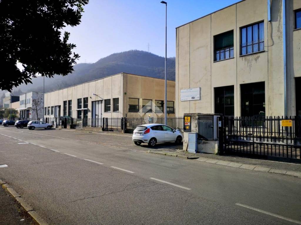 immagine annuncio 2 di 14