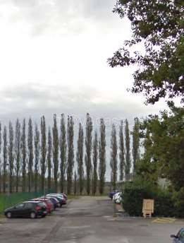 immagine annuncio 3 di 11