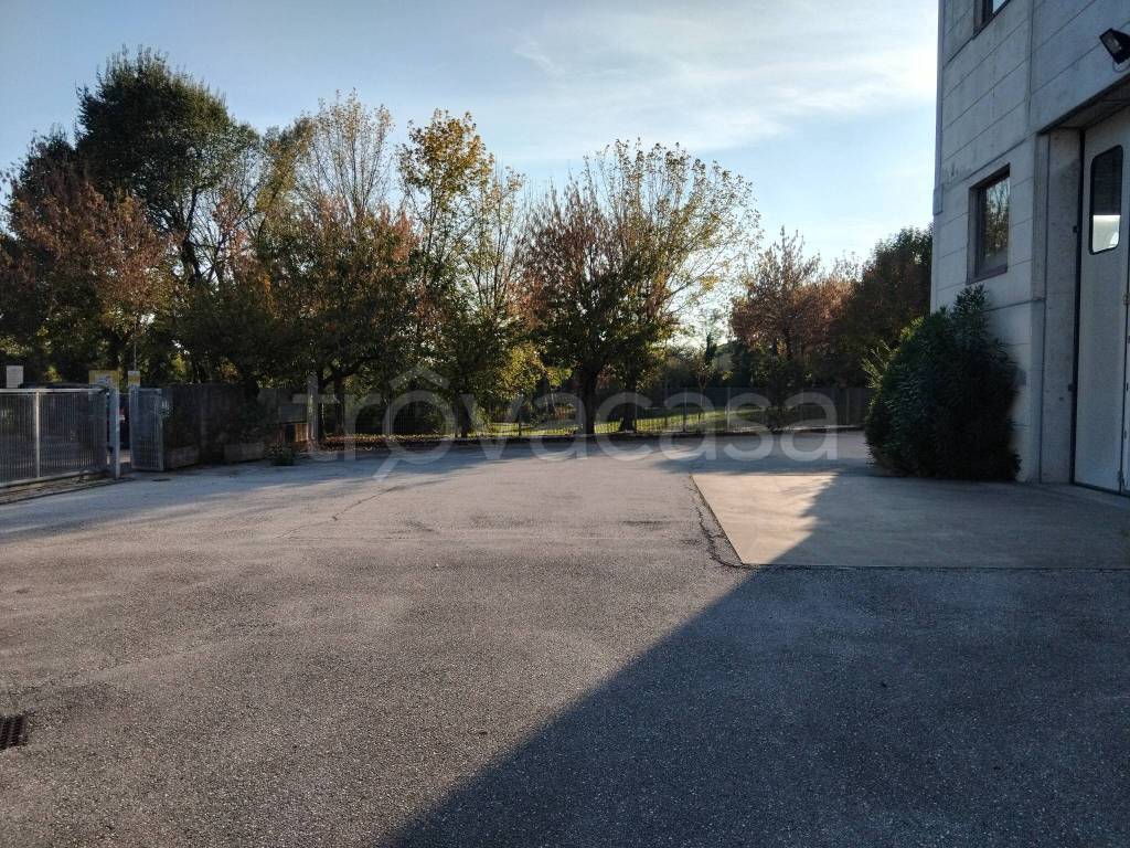 immagine annuncio 13 di 14