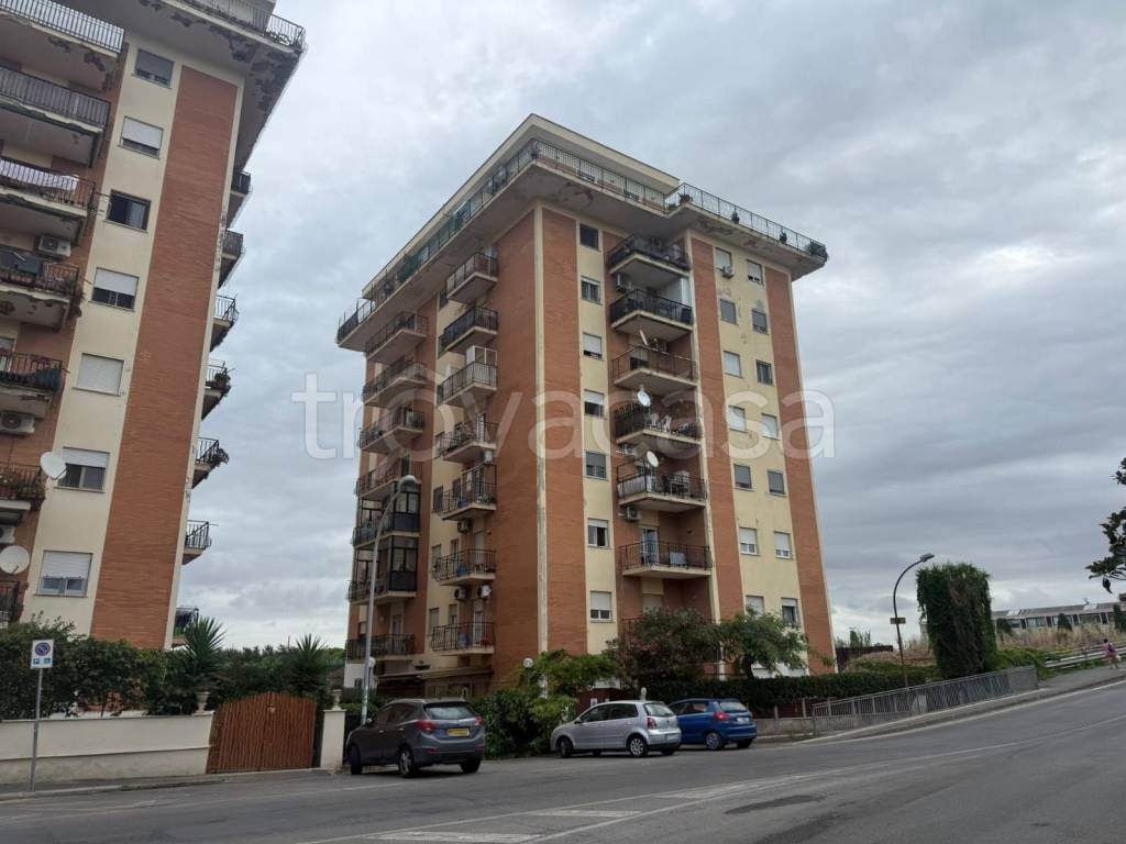 immagine annuncio 13 di 14