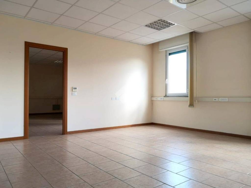 immagine annuncio 5 di 14