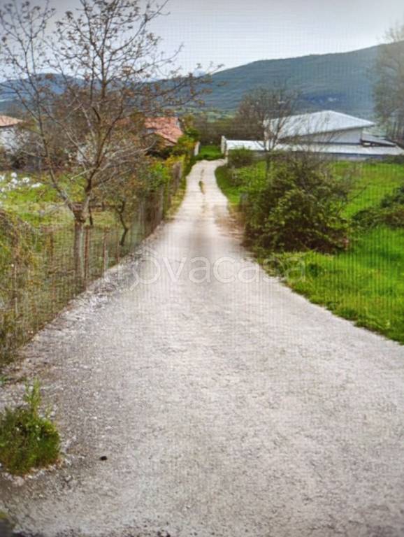 immagine annuncio 1 di 2