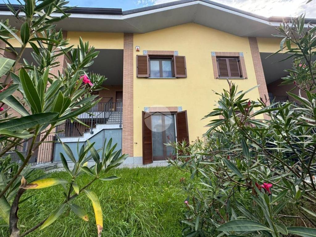 immagine annuncio 1 di 15