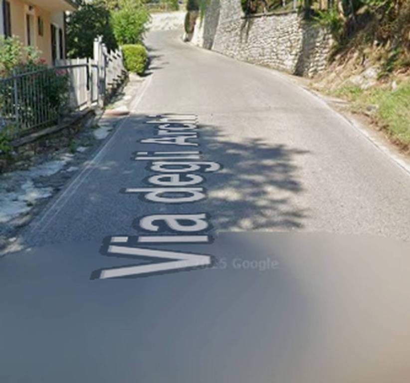 immagine annuncio 9 di 13