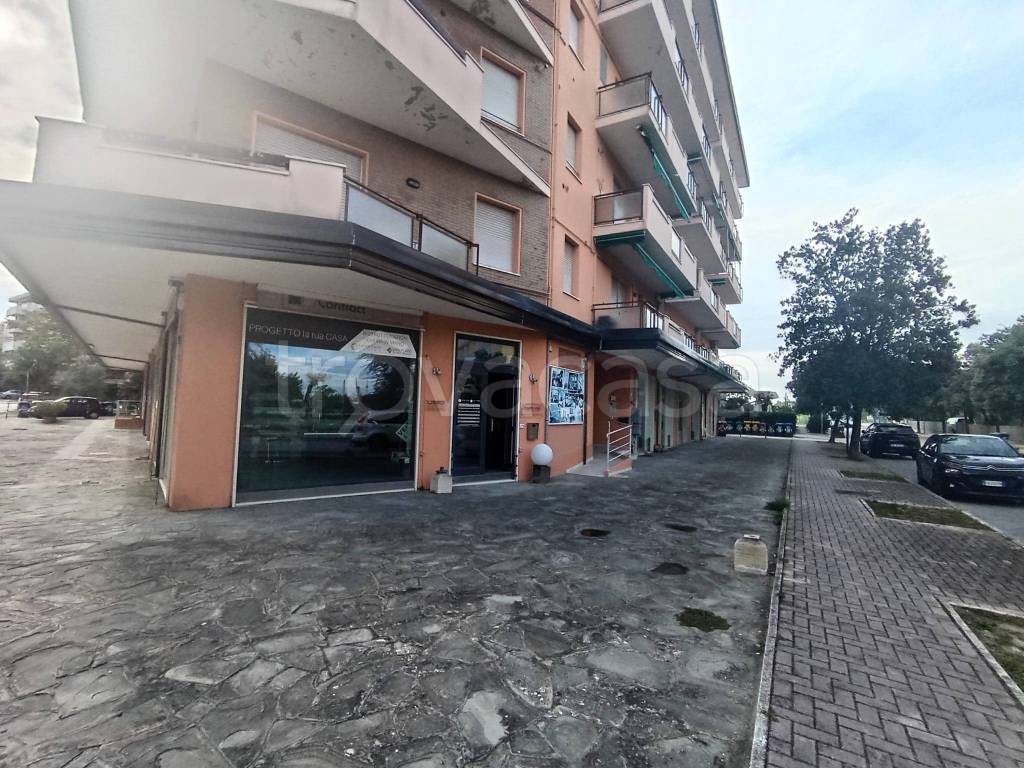 immagine annuncio 5 di 9