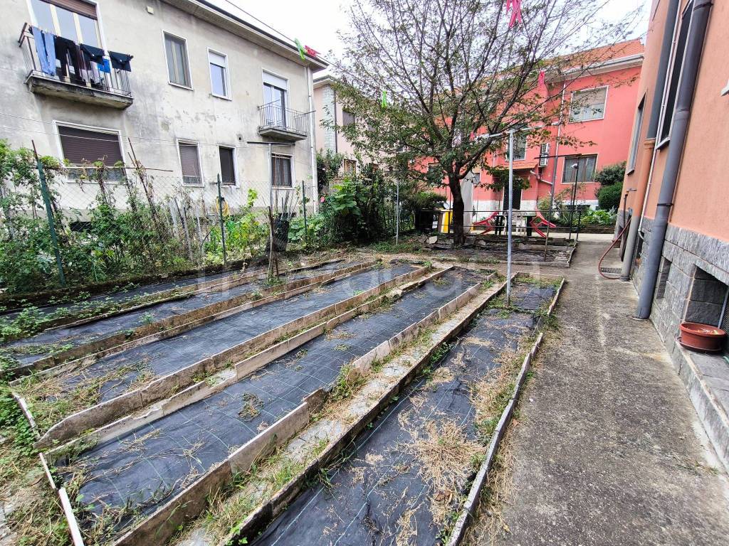 immagine annuncio 12 di 14