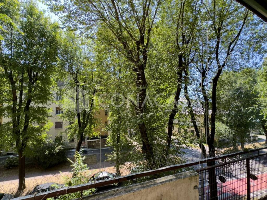 immagine annuncio 5 di 14