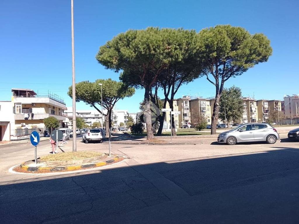 immagine annuncio 4 di 9