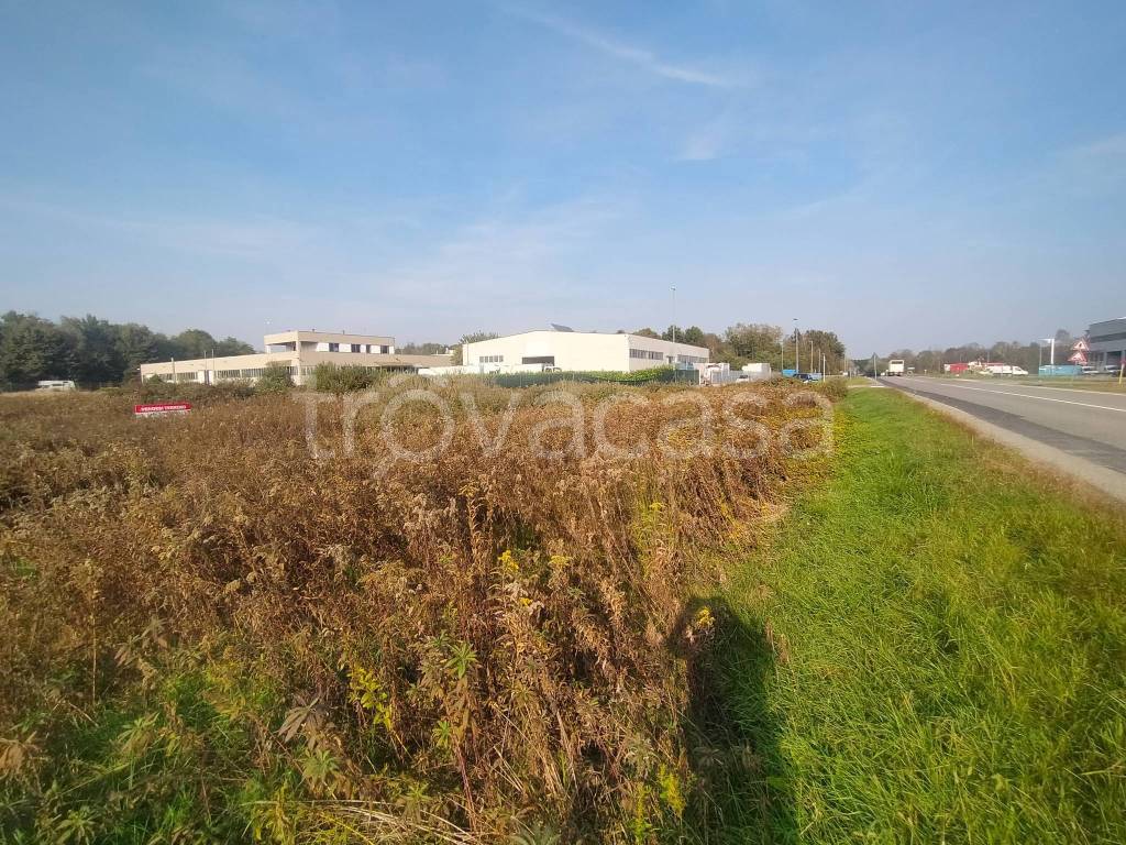 immagine annuncio 1 di 6