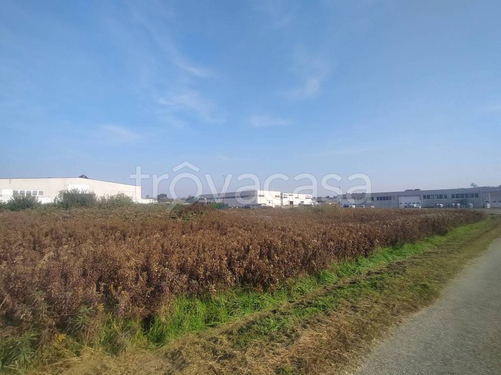 immagine annuncio 2 di 6