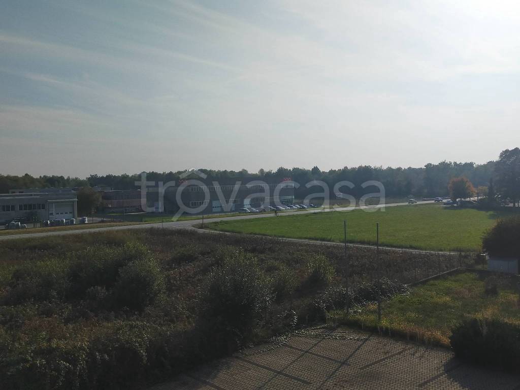 immagine annuncio 5 di 6