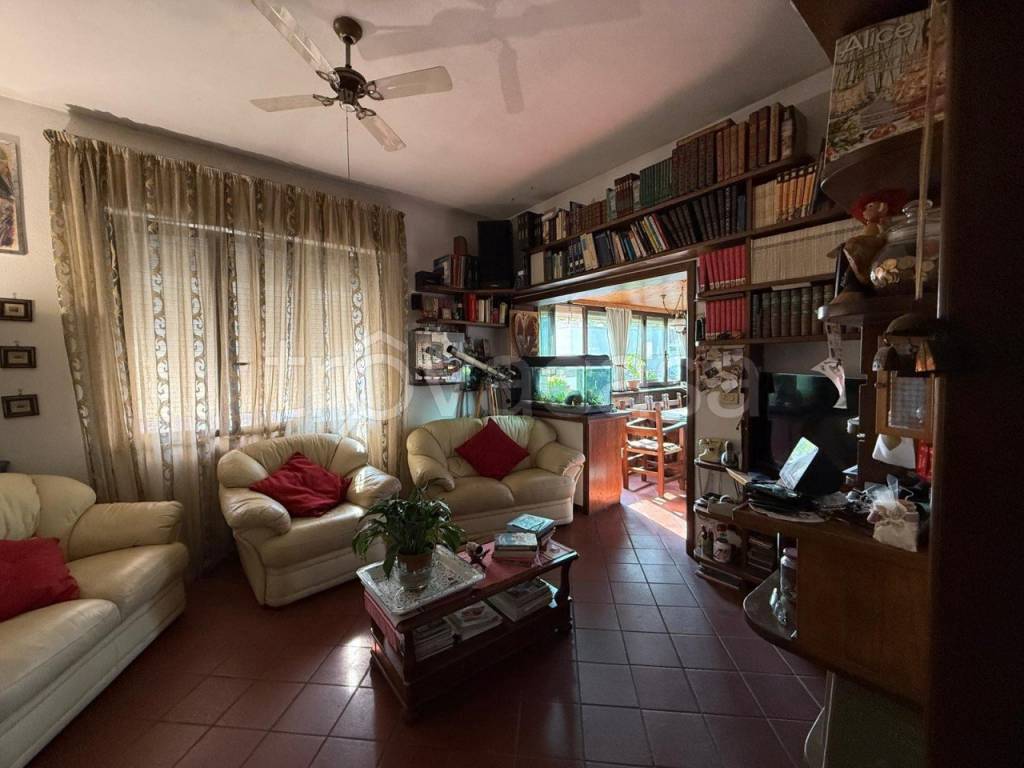 immagine annuncio 4 di 14