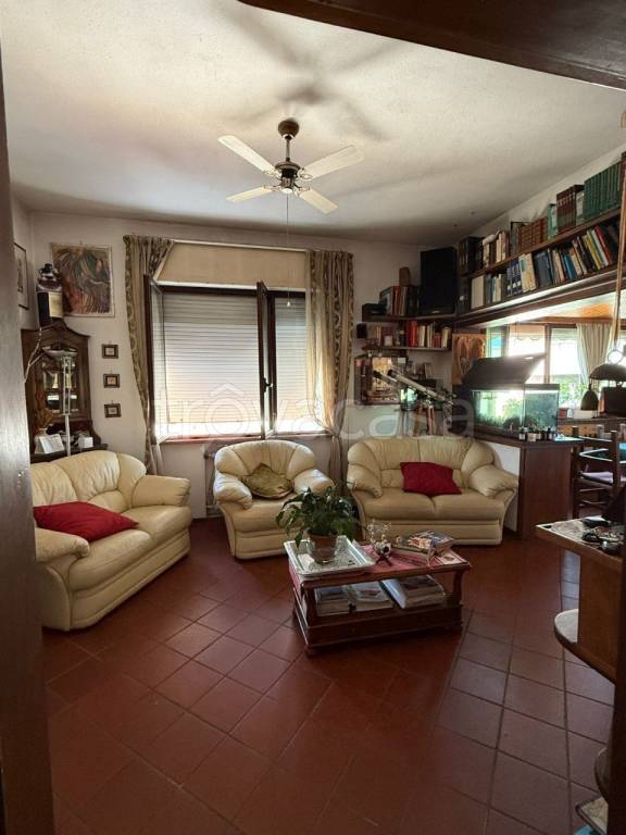 immagine annuncio 5 di 14