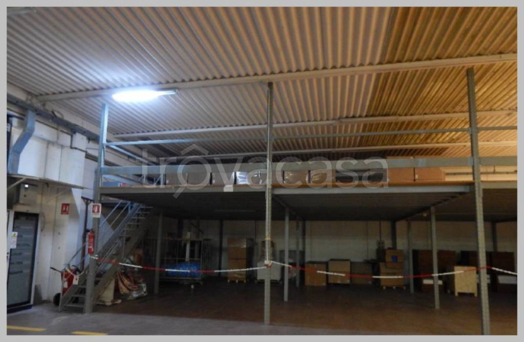 immagine annuncio 13 di 15