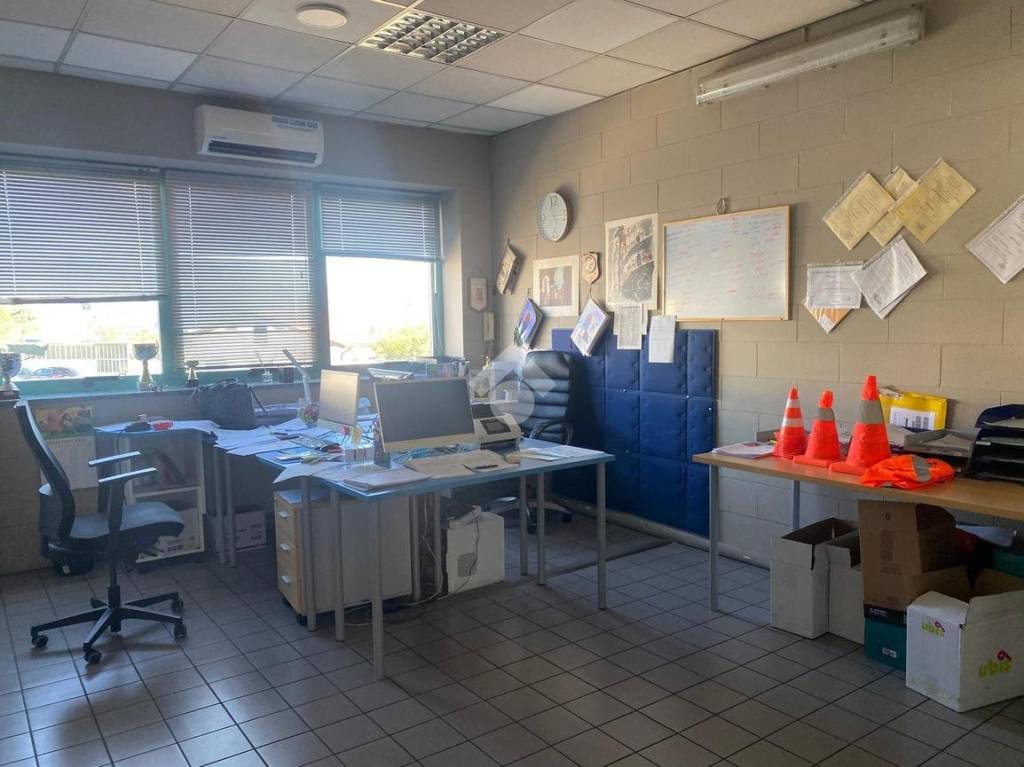 immagine annuncio 9 di 14