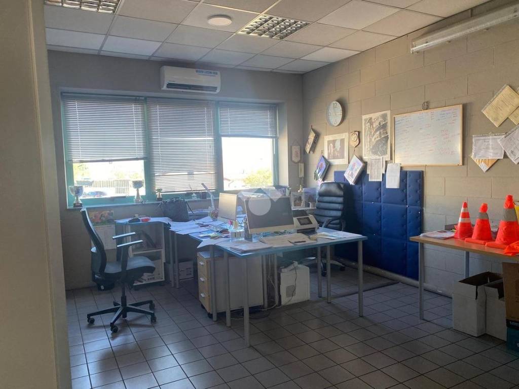 immagine annuncio 10 di 14