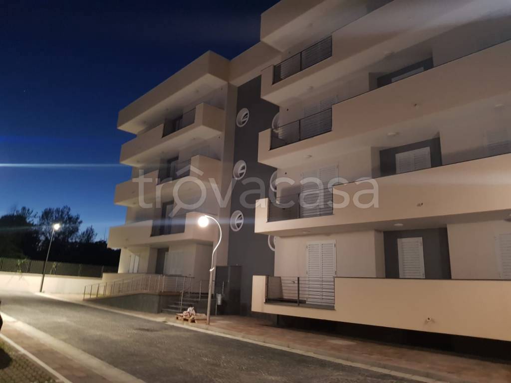 immagine annuncio 6 di 12