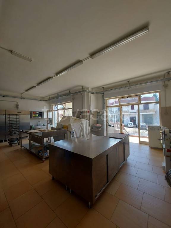 immagine annuncio 2 di 6