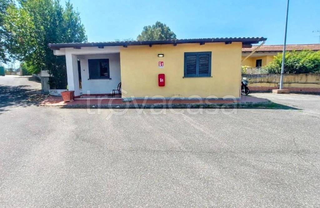 immagine annuncio 11 di 12