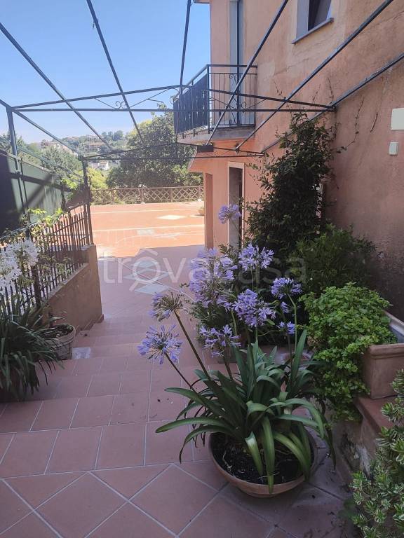 immagine annuncio 12 di 13