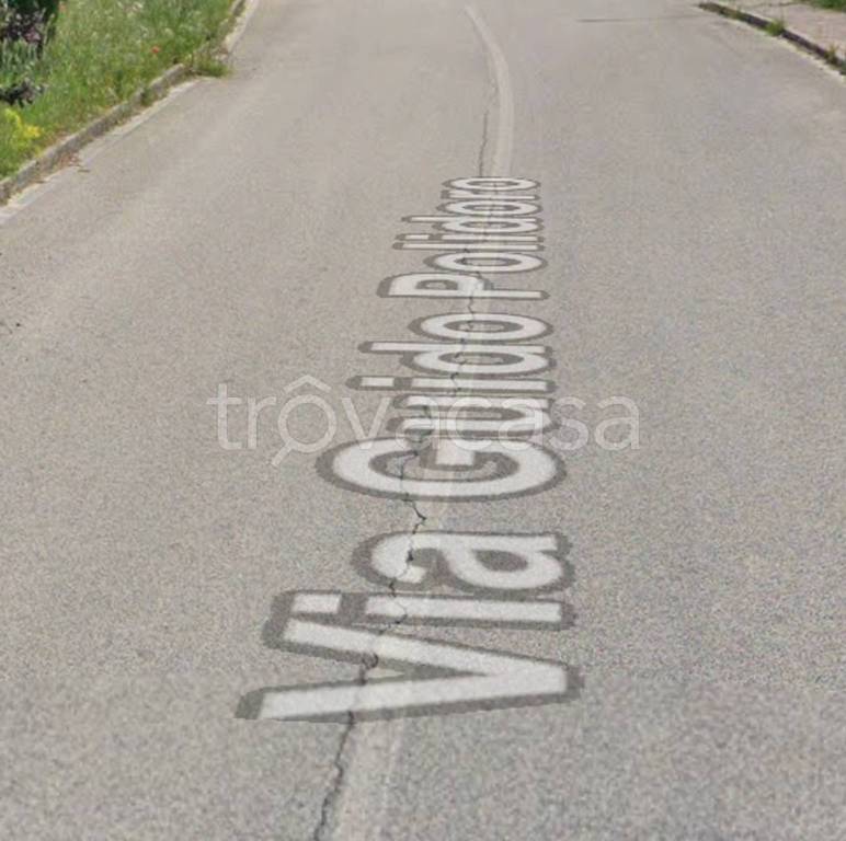 immagine annuncio 2 di 12