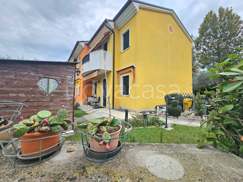 immagine annuncio 12 di 15