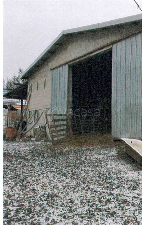 immagine annuncio 4 di 13