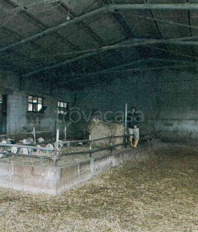 immagine annuncio 7 di 13