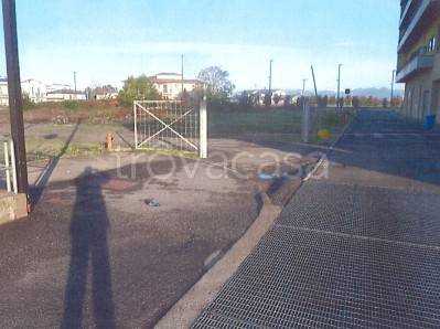 immagine annuncio 2 di 8