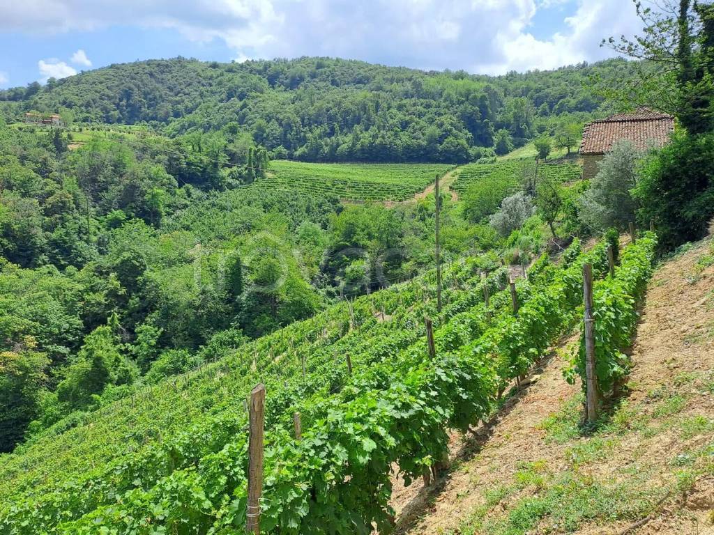 immagine annuncio 2 di 6