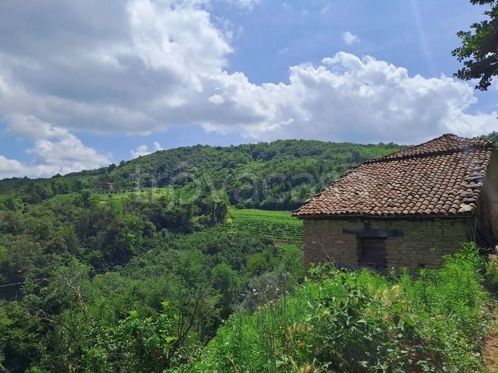 immagine annuncio 3 di 6