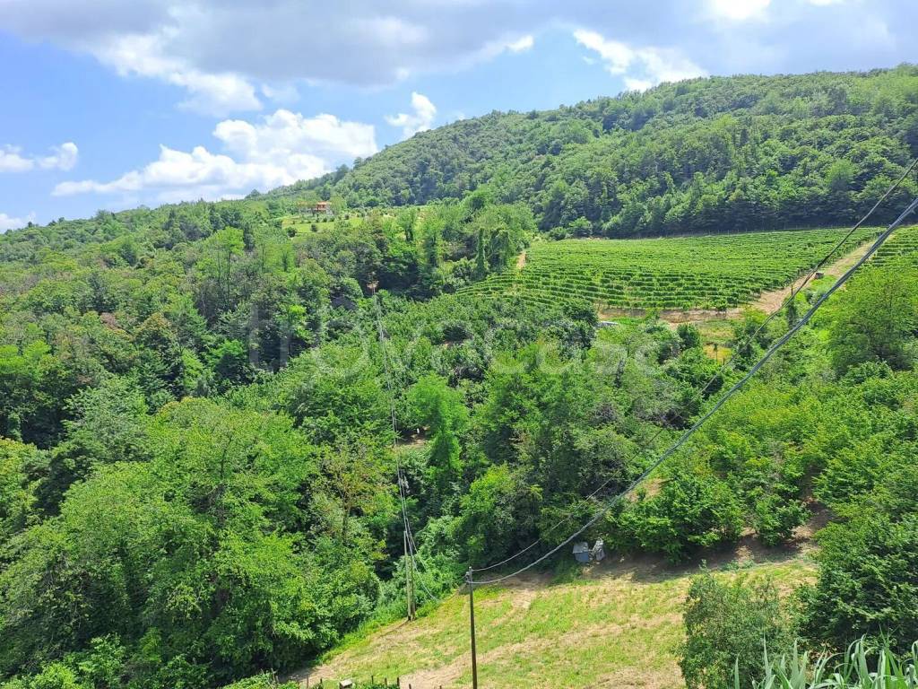 immagine annuncio 4 di 6