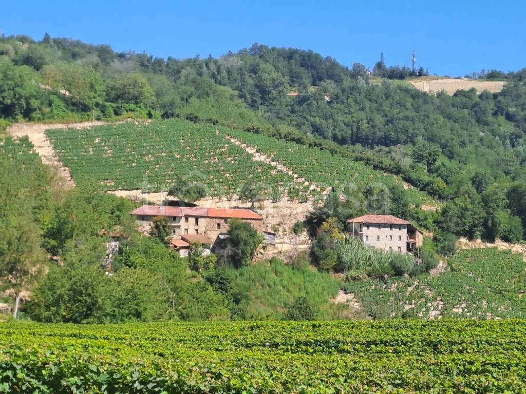 immagine annuncio 5 di 6