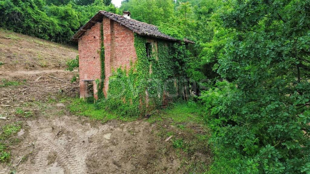 immagine annuncio 3 di 12