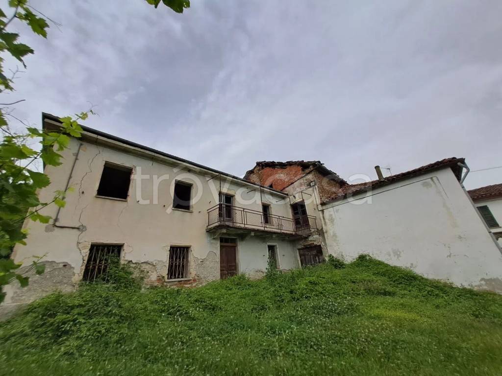 immagine annuncio 3 di 11