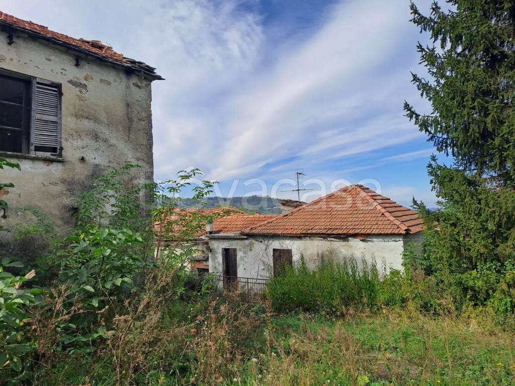 immagine annuncio 4 di 12